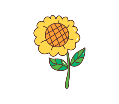 ดอกทานตะวัน png