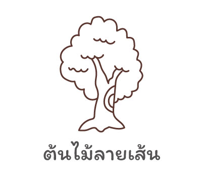 ต้นไม้ลายเส้น