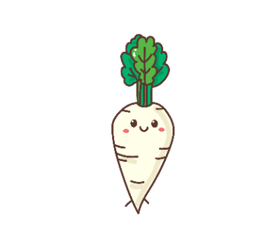 หัวไชเท้า png