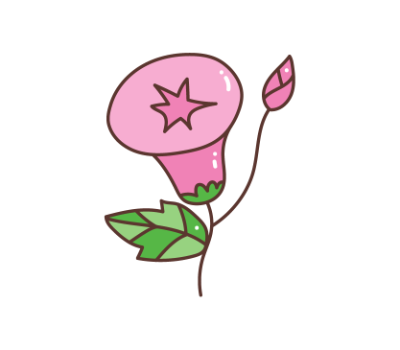 ดอกผักบุ้ง png