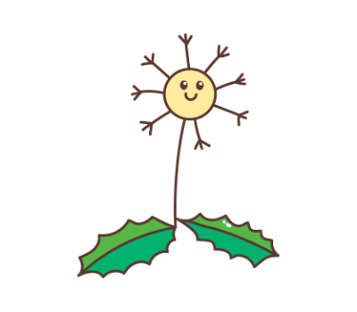 แดนดิไลออน png