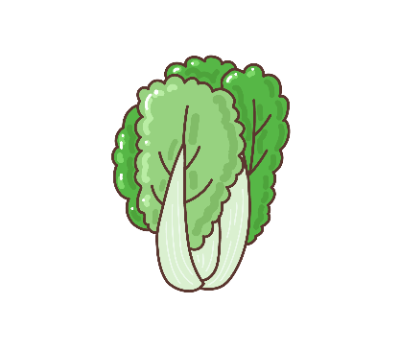 ผักกาด png