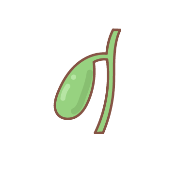 ถุงน้ำดี png