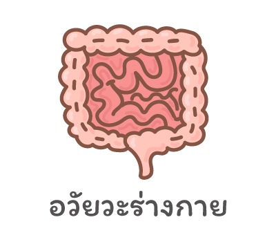 อวัยวะร่างกาย