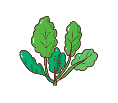 ผักคะน้า png